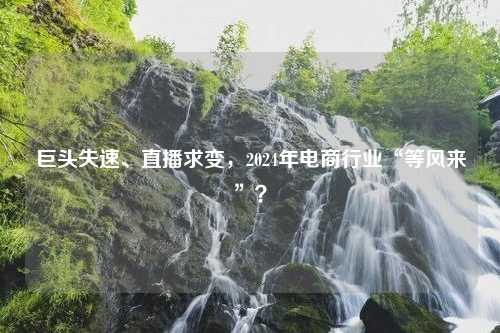 巨头失速、直播求变，2024年电商行业“等风来”？