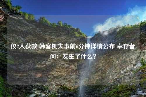 仅2人获救 韩客机失事前6分钟详情公布 幸存者问：发生了什么？