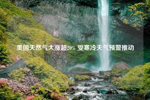 美国天然气大涨超20% 受寒冷天气预警推动