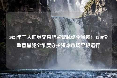 2024年三大证券交易所监管脉络全景图：1210份监管措施全维度守护资本市场平稳运行