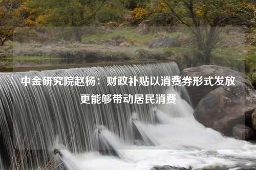 中金研究院赵杨：财政补贴以消费券形式发放更能够带动居民消费