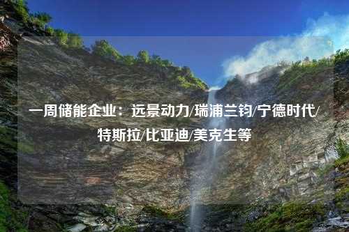 一周储能企业：远景动力/瑞浦兰钧/宁德时代/特斯拉/比亚迪/美克生等