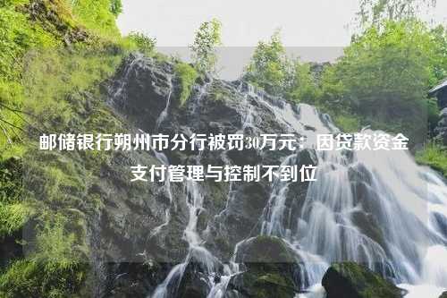 邮储银行朔州市分行被罚30万元：因贷款资金支付管理与控制不到位