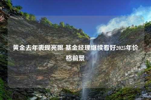 黄金去年表现亮眼 基金经理继续看好2025年价格前景