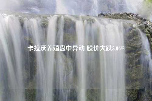 卡拉沃养殖盘中异动 股价大跌5.06%