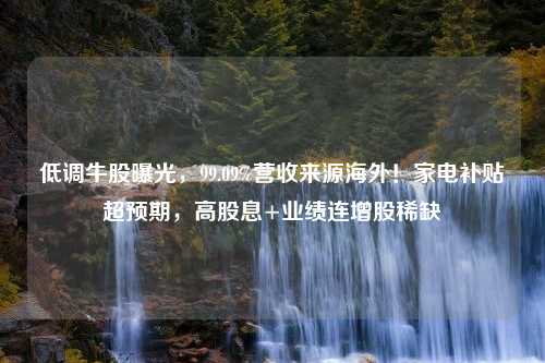 低调牛股曝光，99.09%营收来源海外！家电补贴超预期，高股息+业绩连增股稀缺