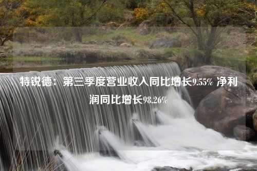 特锐德：第三季度营业收入同比增长9.55% 净利润同比增长98.26%